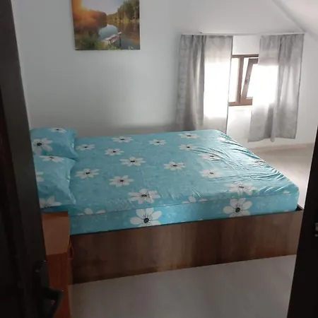 게스트하우스 Casa Galbena De Vacanta Navodari Năvodari